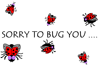bugyou.gif