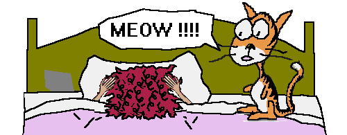 catbed.gif