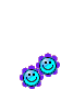 flrlot.gif